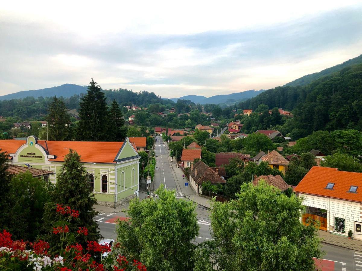 Vila Ursul Negru Sovata Exterior photo